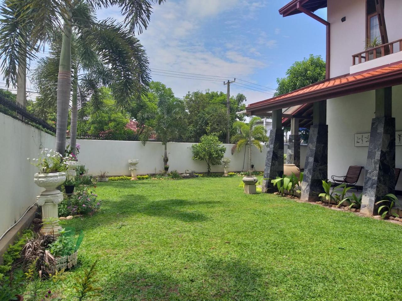 Cosy Nest Home Stay Negombo Extérieur photo